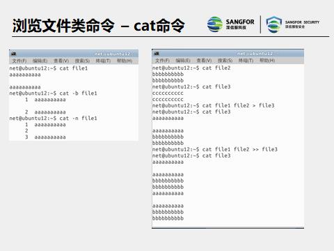 Linux常用命令 - 文章图片