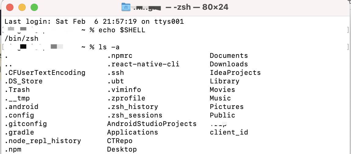 【开发工具】MacOS11.0.1 Big Sur上shell在哪里，添加环境变量怎么加？ - 文章图片