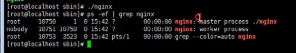 在Linux系统上安装Nginx - 文章图片