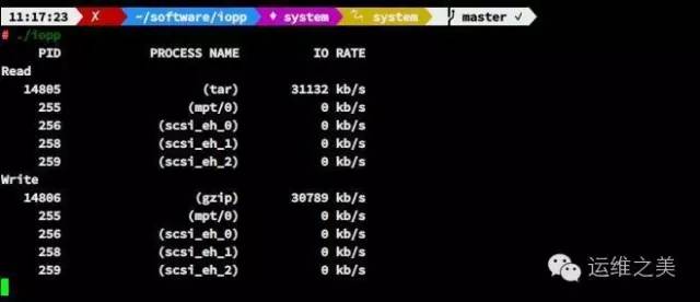 Linux下查看进程IO工具iopp - 文章图片