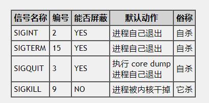 Linux(1) - 文章图片