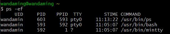 OS第1次实验报告：熟悉使用Linux命令和剖析ps命令 - 文章图片