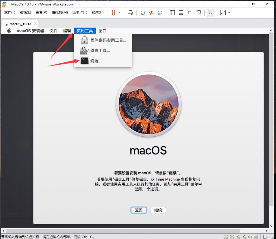 VMware16Pro中安装的MacOS11.13禁用系统完整性保护（rootless） - 文章图片
