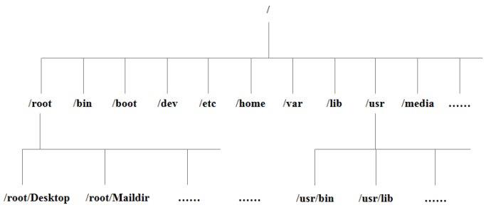 Linux入坑笔记（二、Linux 系统目录结构） - 文章图片