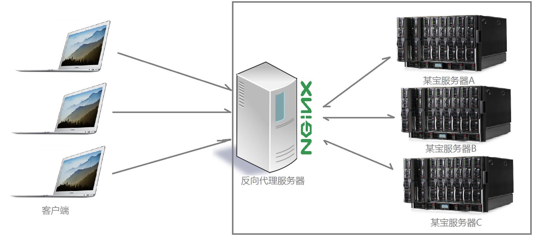 Nginx安装和部署 - 文章图片