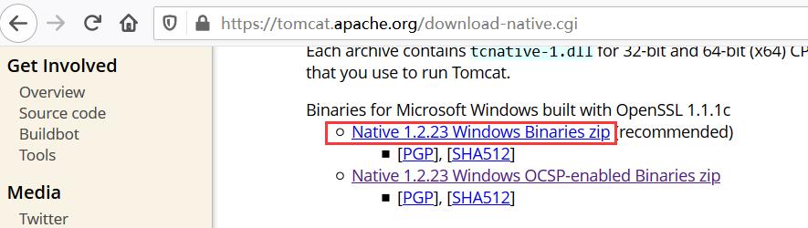 Windows环境tomcat开启apr并配置http/2.0访问 - 文章图片