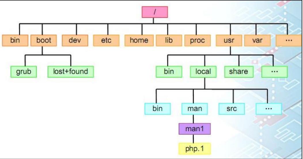 64-Linux 系统的目录结构介绍 - 文章图片