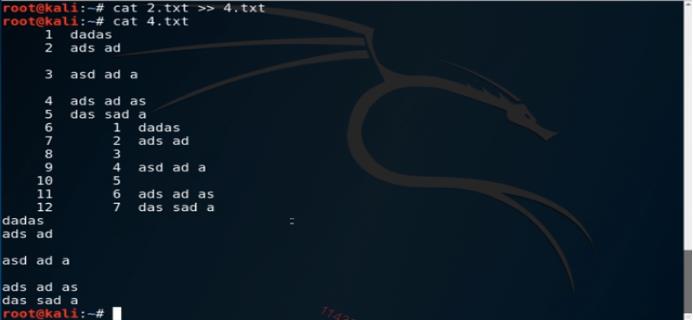 Kali Linux基础操作学习篇——cat命令 - 文章图片