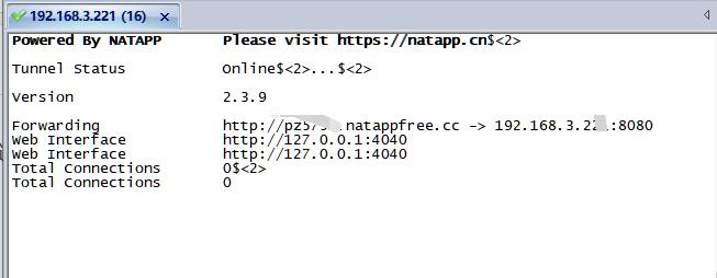 natapp 在centos后台上运行，通过secureCRT操作 - 文章图片