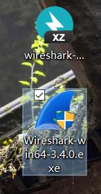 Wireshark 3.4.0 64-bit 安装（Windows10） - 文章图片