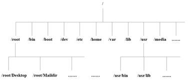 linux基本命令 - 文章图片