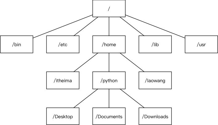 Linux - 文件和目录 - 文章图片