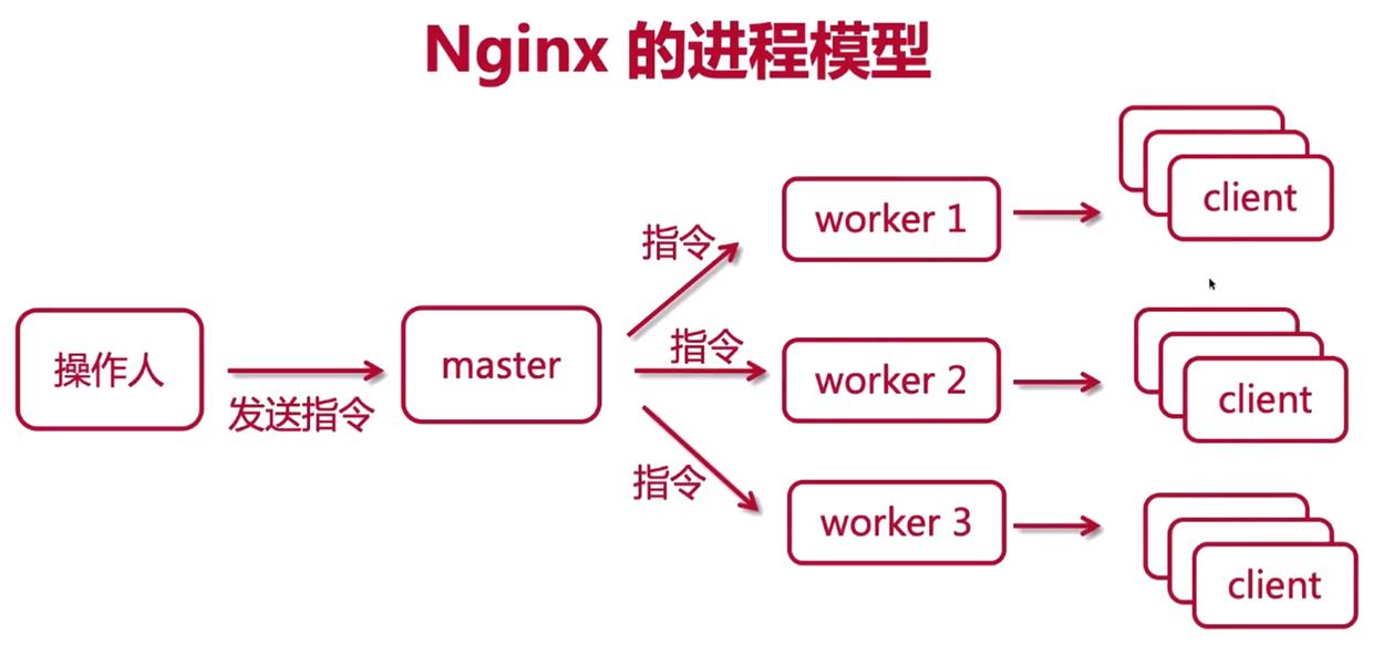 nginx进程模型解析 - 文章图片
