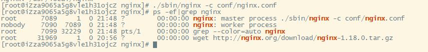 linux安装nginx - 文章图片