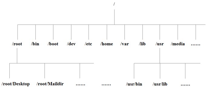 Linux 系统目录结构 - 文章图片