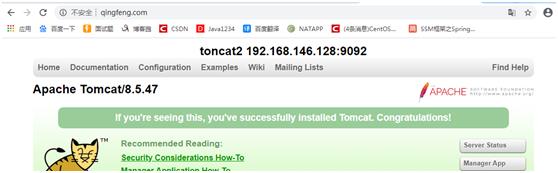 Nginx搭建Tomcat集群 - 文章图片