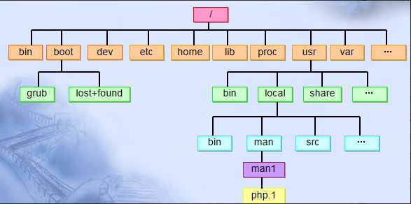 初步进入Linux世界 - 文章图片