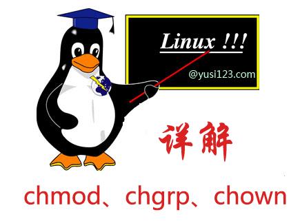 Linux命令:修改文件权限命令chmod、chgrp、chown详解 - 文章图片