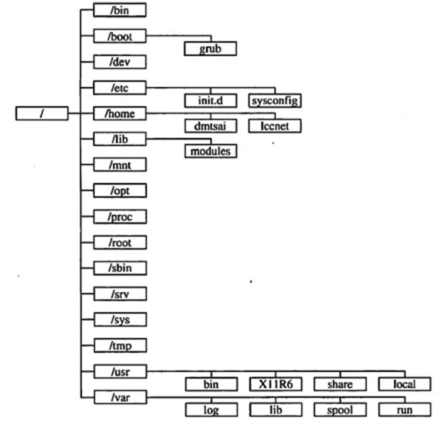 04 Linux下的目录结构 - 文章图片