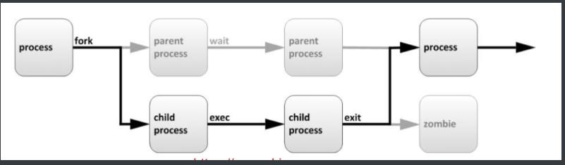 linux 系统管理--进程管理 - 文章图片