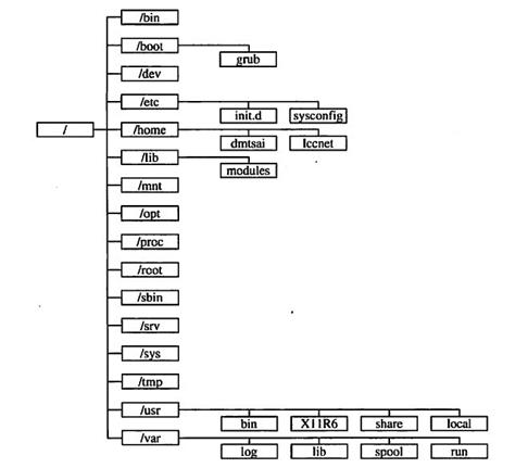 linux目录化结构 - 文章图片