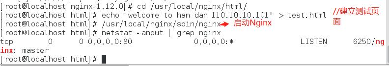 Linux学习笔记--另一种方法安装Nginx服务器 - 文章图片