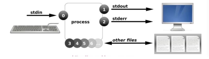 Linux系统管理--输入输出 - 文章图片