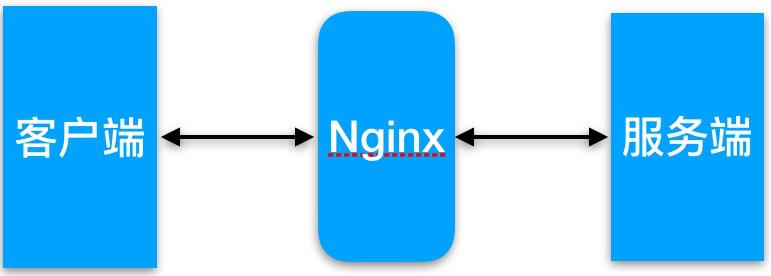 12、Nginx代理缓存服务 - 文章图片