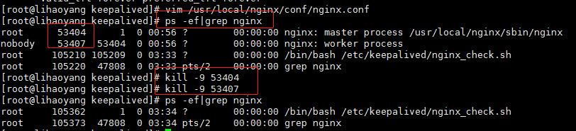 Nginx+Keepalived 实现高可用 - 文章图片