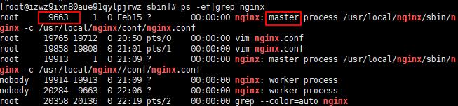 CentOS_7下安装Nginx服务 - 文章图片