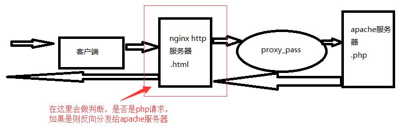 linux+apache+nginx实现，反向代理动静分离 - 文章图片