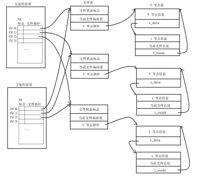 Linux 进程控制 ---- fork 函数 - 文章图片