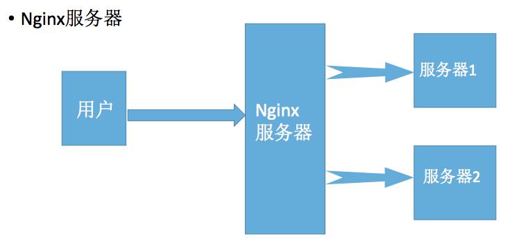 Nginx - 文章图片