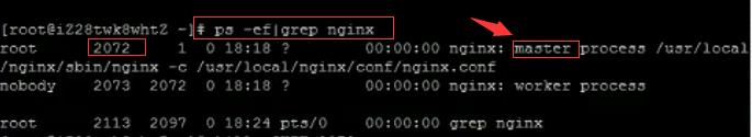 Nginx的启动、停止与重启 - 文章图片