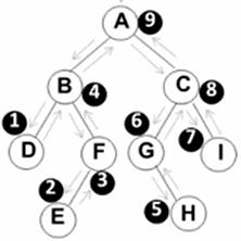 [数据结构笔记[二叉树的递归遍历 - 文章图片