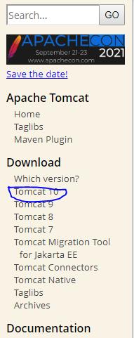Tomcat下载，以及打不开的问题 - 文章图片