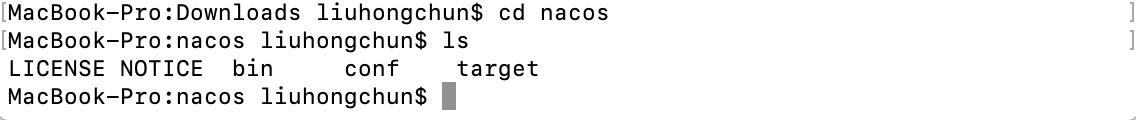mac中搭建nacos2.0-（1） - 文章图片