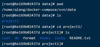 Docker搭建Svn服务器 - 文章图片