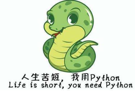 致初学者：零基础如何学好，Python这门编程语言？ - 文章图片