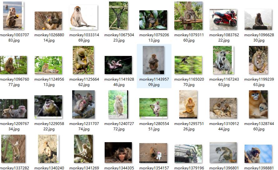 python3 TensorFlow训练数据集准备 下载一些百度图片 入门级爬虫示例 - 文章图片