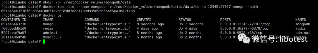 MongoDB-通过docker搭建一个用来练习的mongodb数据库 - 文章图片