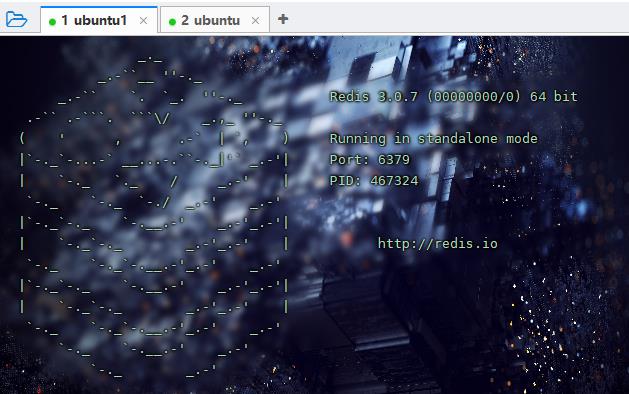 Ubuntu Redis3.0.7单机版安装 - 文章图片