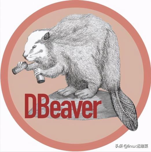 Linux系统上数据库管理和开发工具DBeaver使用安装介绍 - 文章图片