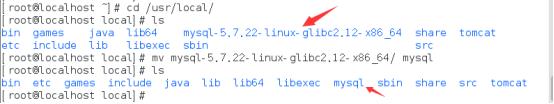linux 安装mysql服务 - 文章图片