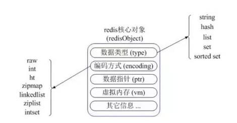 论程序的健壮性——就看Redis - 文章图片