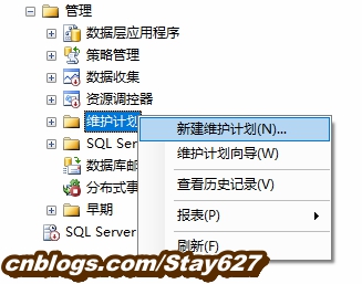 SqlServer2008R2自动删除备份 - 文章图片