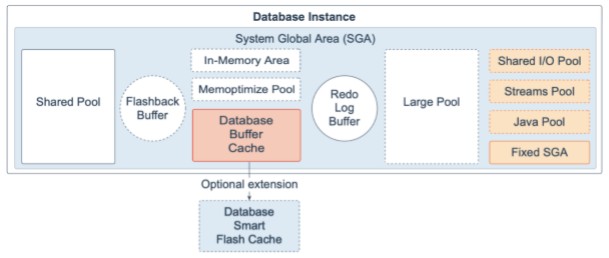 Oracle Database 19c 技术架构（一） - 文章图片