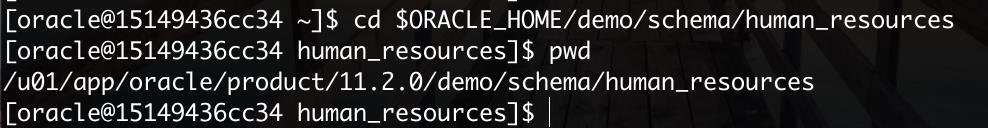 Docker装的Oracle 11g没有HR用户怎么办？一个脚本解决问题！ - 文章图片