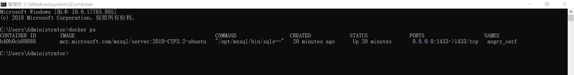 [Docker] - 安装 SQL Server 2019，使用 SSMS 进行登录 - 文章图片