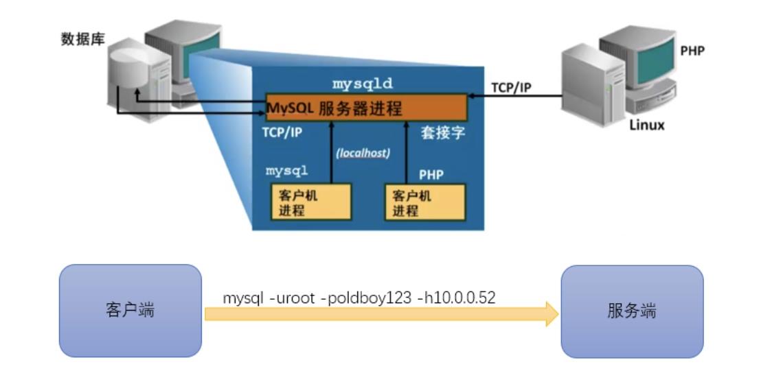 第二章· MySQL体系结构管理 - 文章图片